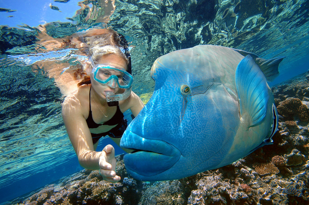 Cairns Reef Magic Crusie